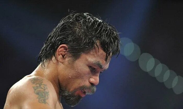      , , , MMA, UFC, Telegram ()