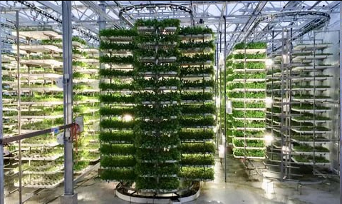 Sustainable Agriculture: Vertical Farms - My, Сельское хозяйство, Farm, Farming, Products, Ecology, Harvest, Village