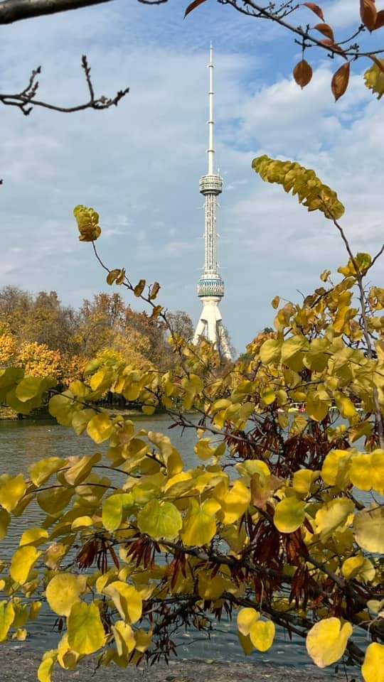 November Autumn and the great Shota Rustaveli! Tashkent 2024 - Tashkent, Images, 2024, November, Autumn, Longpost