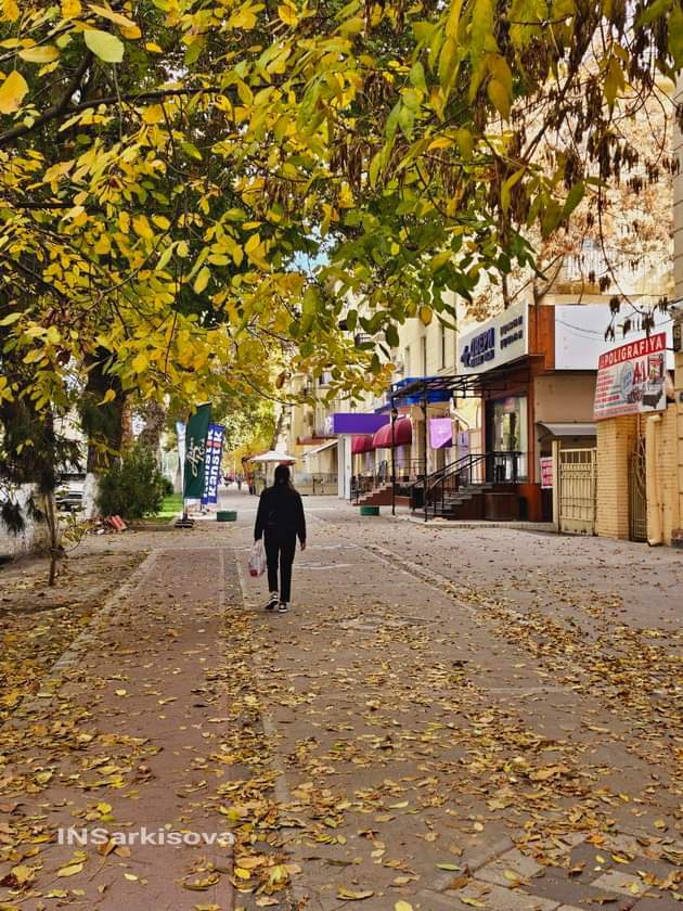 November Autumn and the great Shota Rustaveli! Tashkent 2024 - Tashkent, Images, 2024, November, Autumn, Longpost