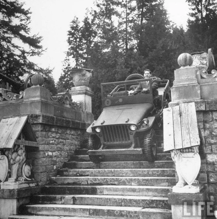 King Michael drives down the steps in his car, Romania, 1947 - History (science), The photo, Romania, Mihai