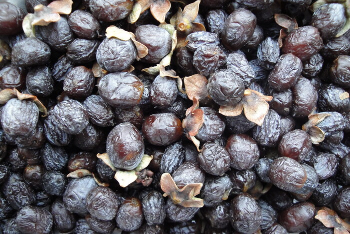    .    <!--noindex--><a href="https://pikabu.ru/story/khurma_12006705?u=http%3A%2F%2Fna-dache.pro&t=na-dache.pro&h=32b0dc0866734fbecc0608fa7e9ca80e9ca49e9f" title="http://na-dache.pro" target="_blank" rel="nofollow noopener">na-dache.pro</a><!--/noindex-->