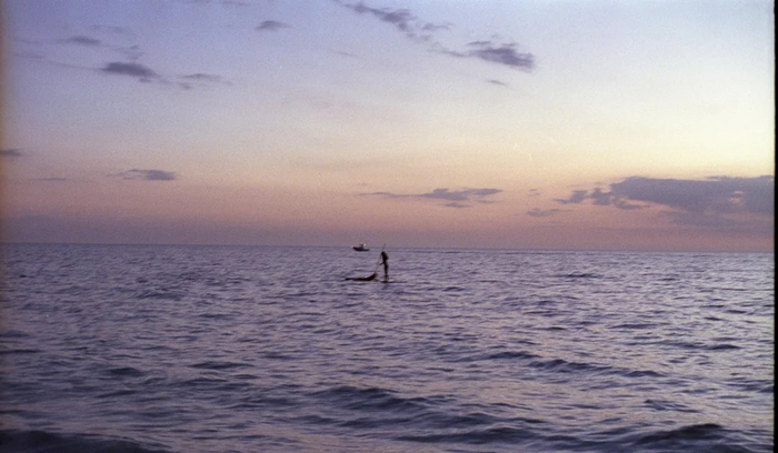  c    Digital ICE ( ,   )