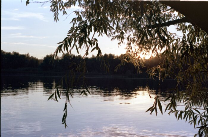      ICE -  "" - ,  ""    .