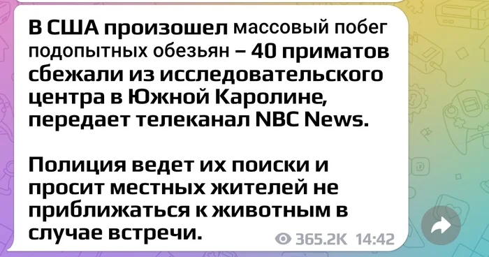 28 дней спустя.Начало - Новости, Юмор, Скриншот, Обезьяна, США