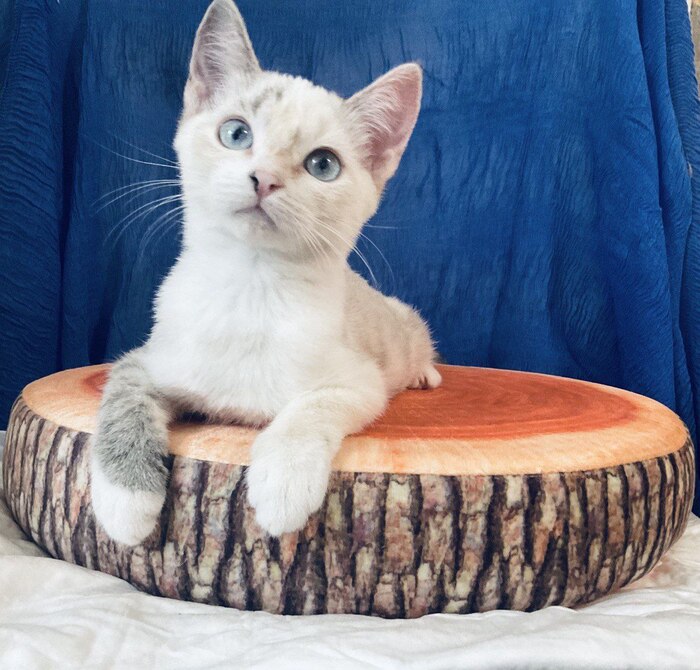 ��� ����� �������� ��� ��������, ��� ������� ���� ��������� ������