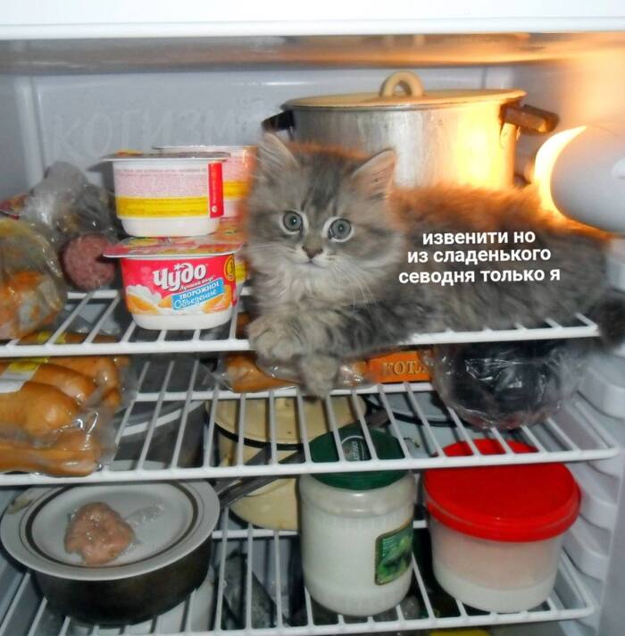 Когда заглянул в холодильник в поисках чего-нибудь к чаю