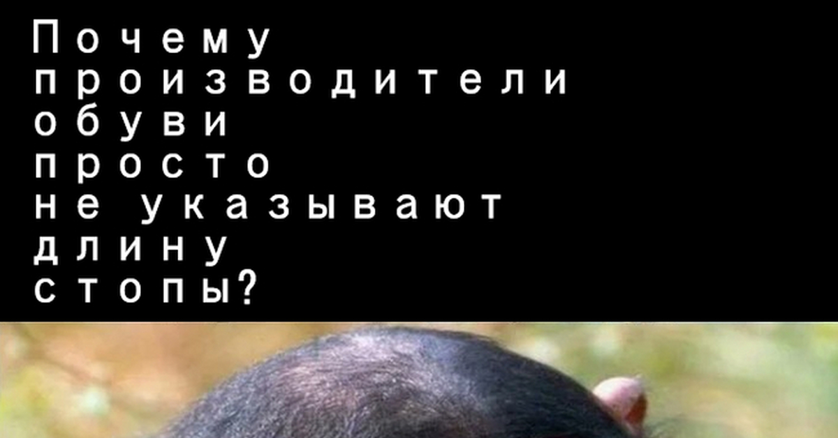 Размеры обуви в разных странах | Пикабу