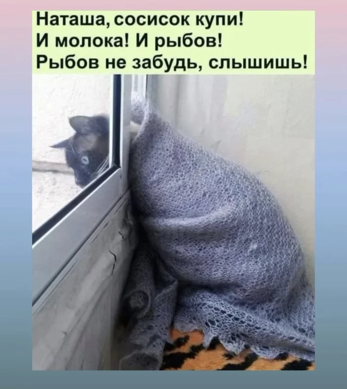 Grandma Cat is waiting for Natasha at the window - Survey, cat, Memes, Fluffy, Pet the cat, Do you sell fish?, Cat family, Funny animals, Humor