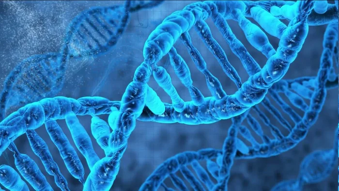 DNA based technology - My, Scientists, The science, Technologies, Research, DNA, Structure, Nanotechnology