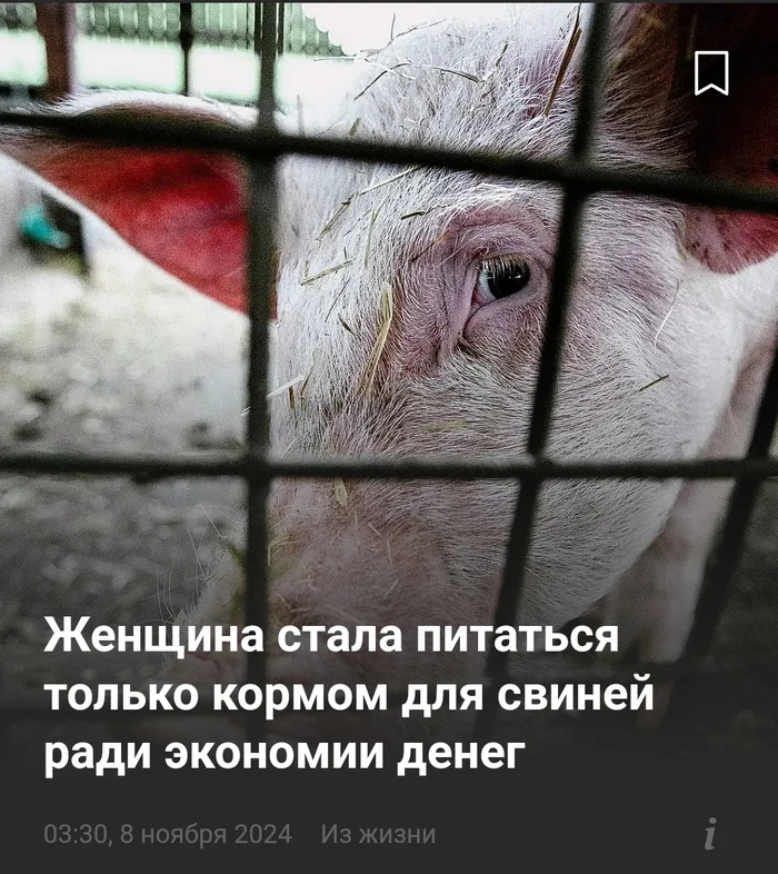 Just news - news, Animal feed, Pig, Picture with text