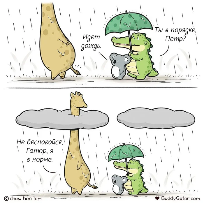 Rain - My, Buddygator, Translated by myself, Comics, Alligator, Giraffe, Koala, Rain, Clouds, The clouds, Growth, Height