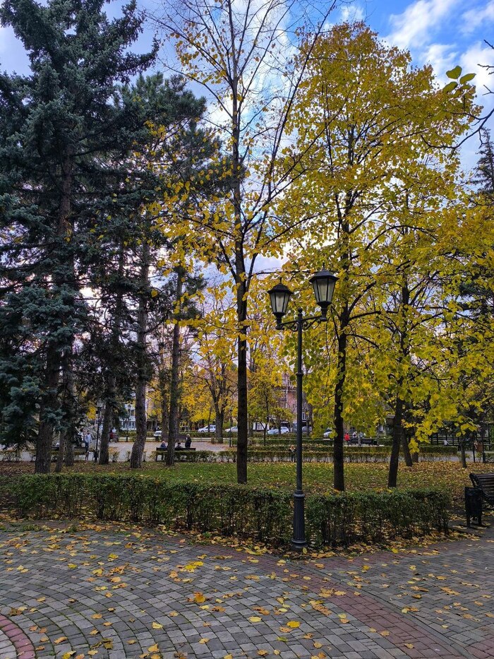 ����� � ������������� �����