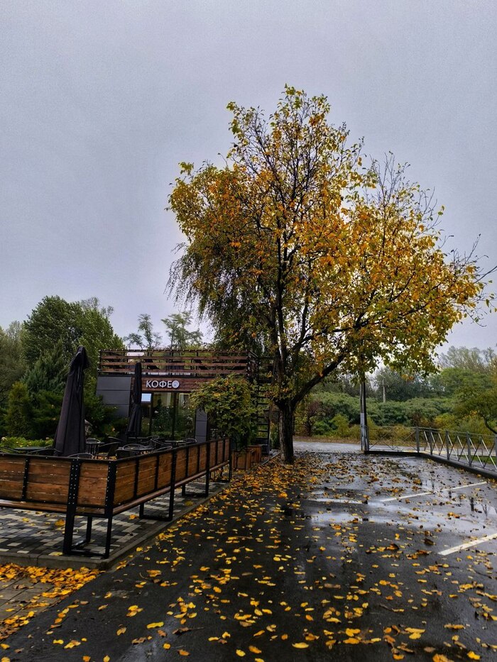 ��������� ������� ���� � ����� ������ � ����������