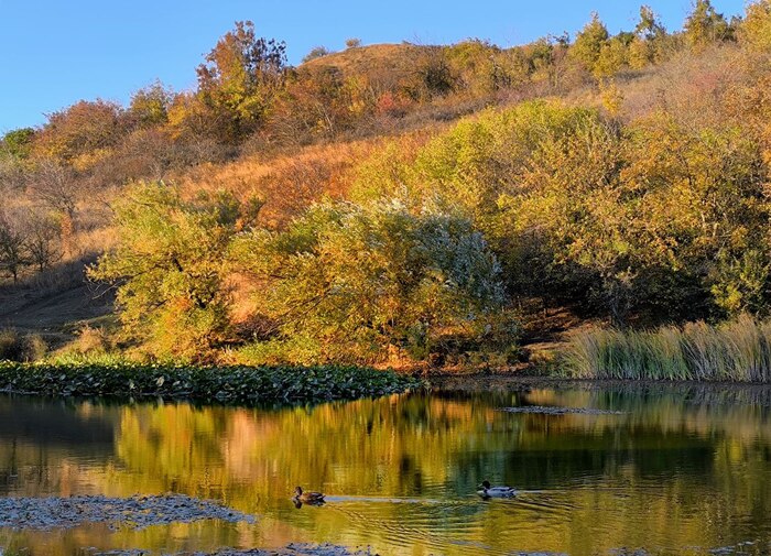 ����� �� ������������ ����� �� ���� ������