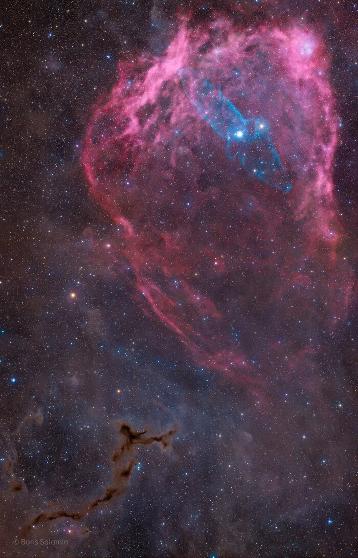 Astrohobbies #37. Squid, Bat and Seahorse - My, Stars, Astrophoto, Starry sky, Astronomy, Telescope, Milky Way, Nebula, Longpost