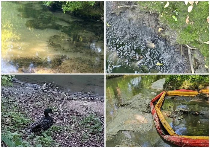 The damage caused to the environment as a result of pollution of the Setun River with oil products has been calculated - Eco-city, Ecology, Moscow, Video, Longpost