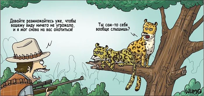 Okhotneg - My, Comics, Translation, Wulffmorgenthaler, Leopard, Hunter, Hunting, Endangered species