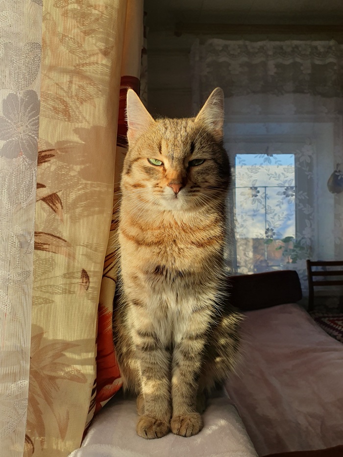   , , ,  