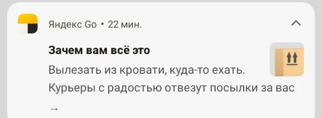 На грани черного юмора. Приколы от Яндекса - Моё, Яндекс, Черный юмор, Яндекс Доставка, Маркетологи, Видео