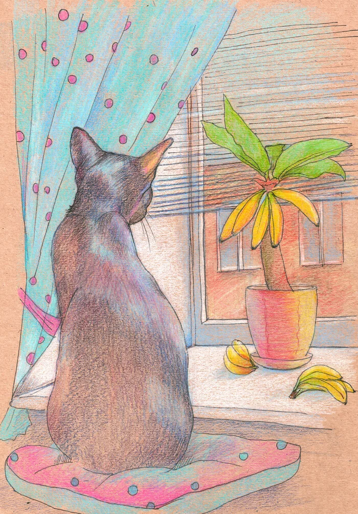 By the window - My, Luboff00, Colour pencils, Liner, Graphics, Traditional art, Oriental cats, cat, Banana, Window