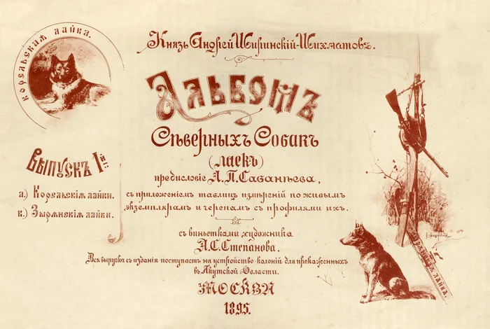 Исчезнувшие породы собак №6. Альбом северных собак князя А.А.Ширинского-Шихматова - Собака, Породы собак, Лайка, Длиннопост