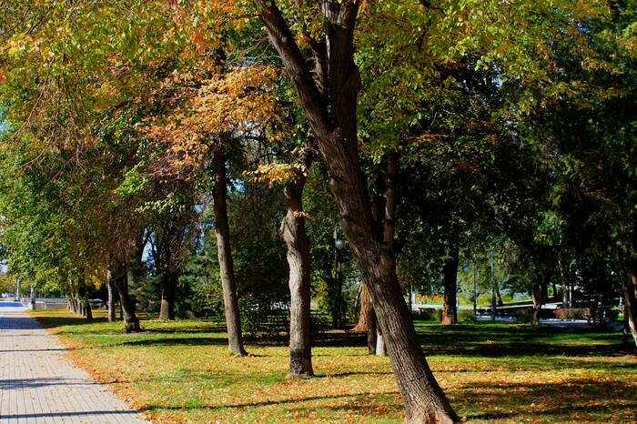 In the city - My, The photo, Landscape, The park, City walk