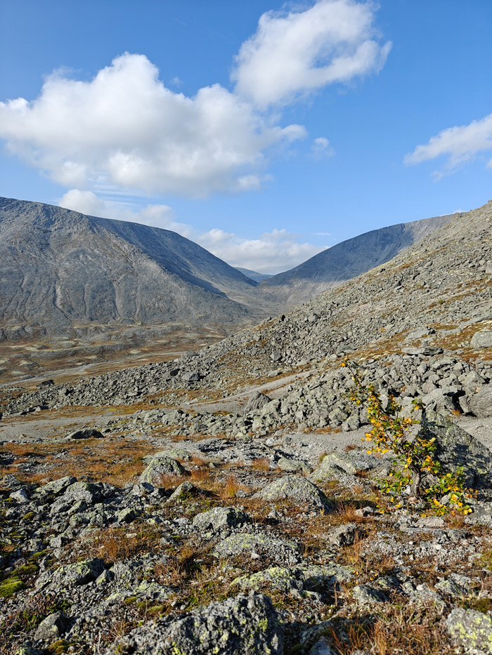 Перевал Западный Петрелиуса