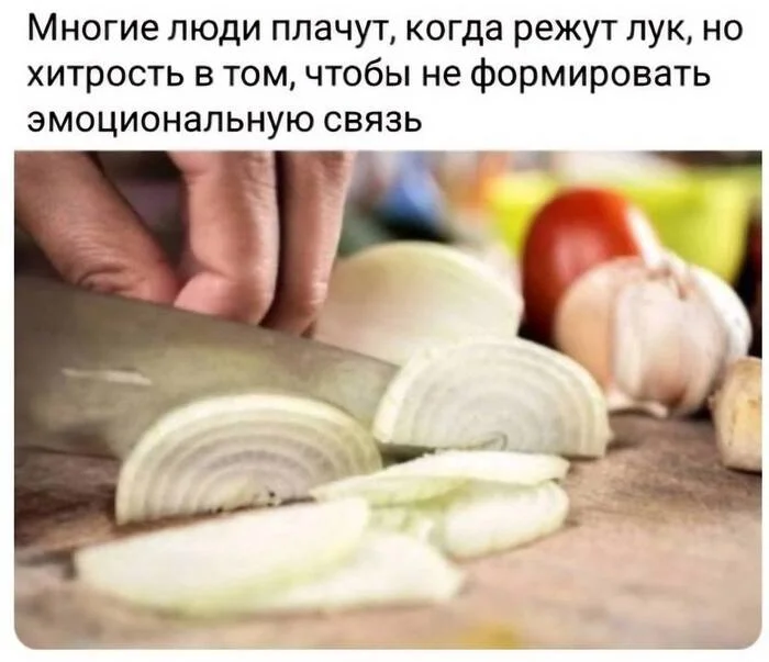 Chef's Secrets - Humor, Memes, Picture with text, Onion, Tears, Emotions, Telegram (link)