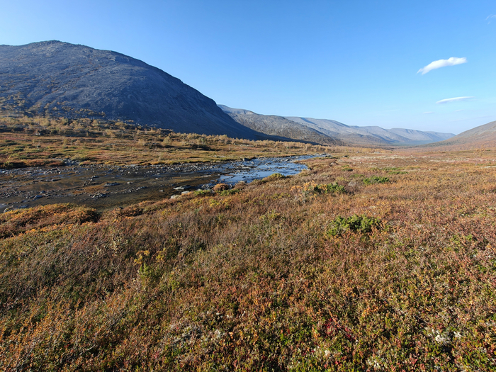 Долина ручья Петрелиуса