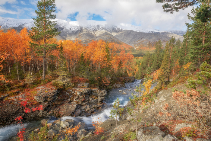 Рисйок в 2021г.