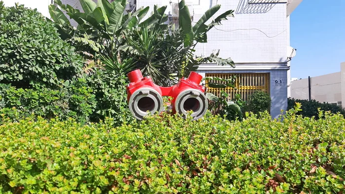 I'm watching you... - My, The photo, Street photography, Walk, Hydrant, Observers, Israel, It seemed