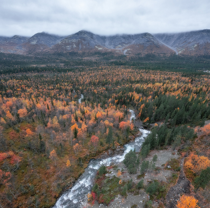 Рисйок в 2022г.