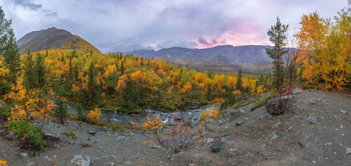 Рисйок в 2023г.