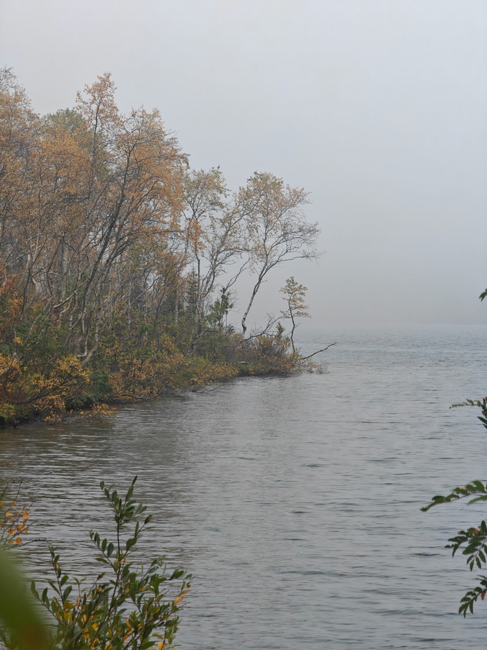 Туманное утро