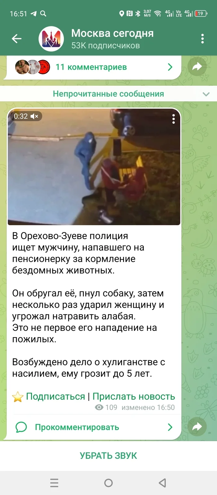 I hope this isn't one of our Pikabu users. - Homeless animals, Retirees, The crime, Attack, Video, Telegram (link), Longpost