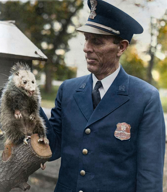 Подборка интересных и необычных фотографий из США. 20 раскрашенных фотографий ХХ века. Часть XI Историческое фото, Старое фото, Фотография, США, 20 век, Колоризация, Длиннопост