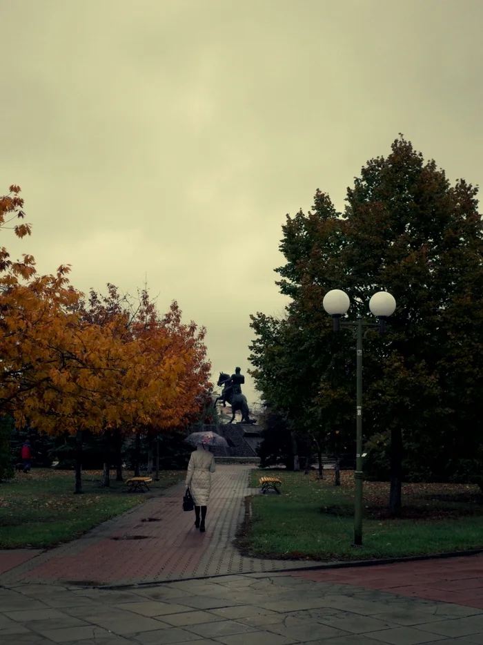 Rainy - My, Street photography, Town, The photo, Eagle, Morning, City walk, The park, Autumn, Walk, Monument, Rain, Photographer, November