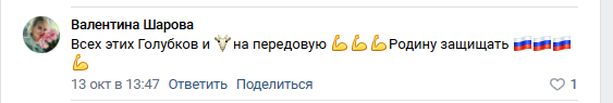 Что это за безумие? - Политика, Маразм, Агрессия, Видео, Мат, ВКонтакте (ссылка), Длиннопост