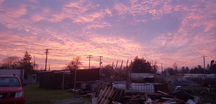 Вечерний вид