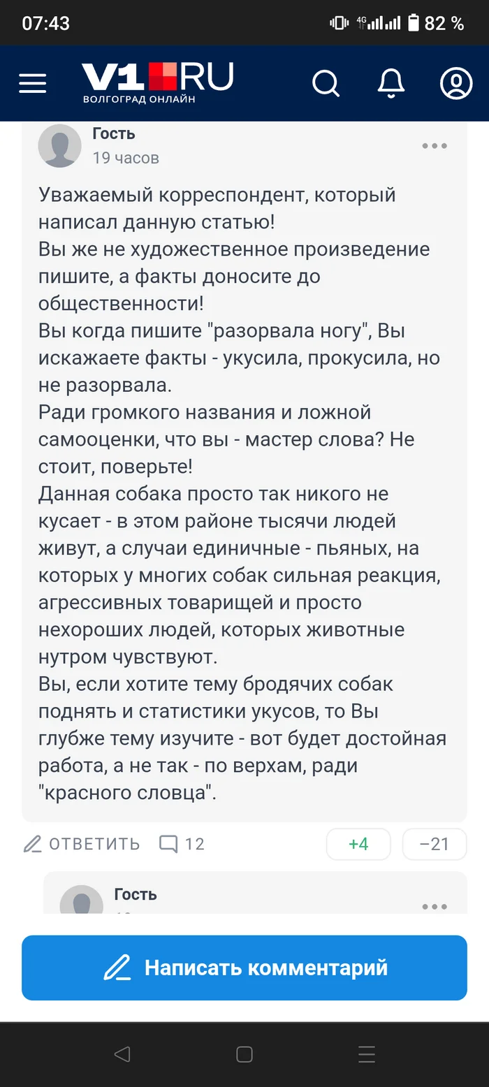 В Волгограде бездомная собака разорвала ногу прохожему мужчине - Волгоград, Радикальная зоозащита, Нападение собак, Бродячие собаки, Негатив, Длиннопост, Собака