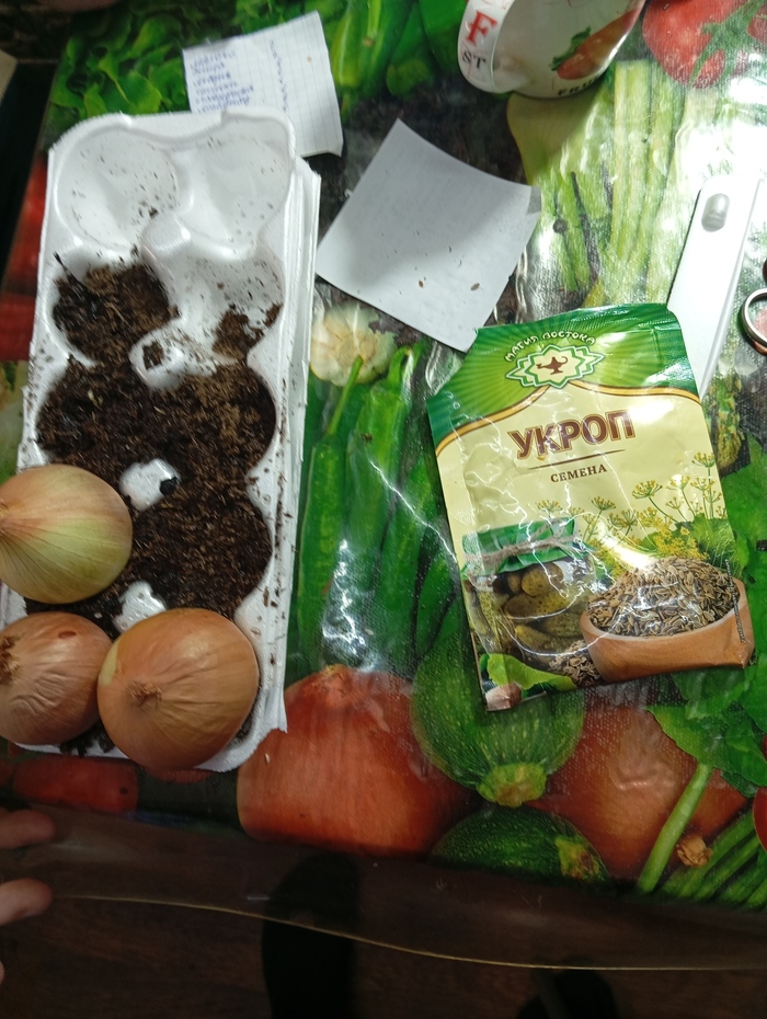 ��� ��� ������ ������ ������� ������ ��������