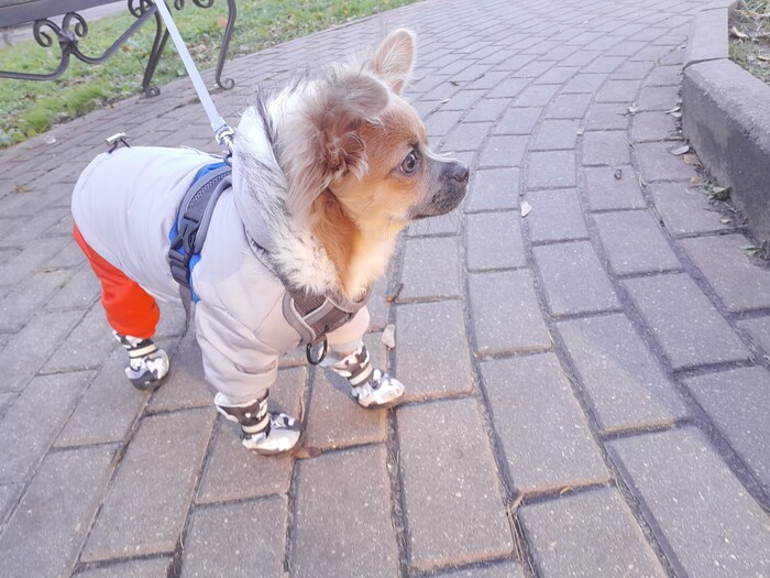 ���-�������� ��� � �����!