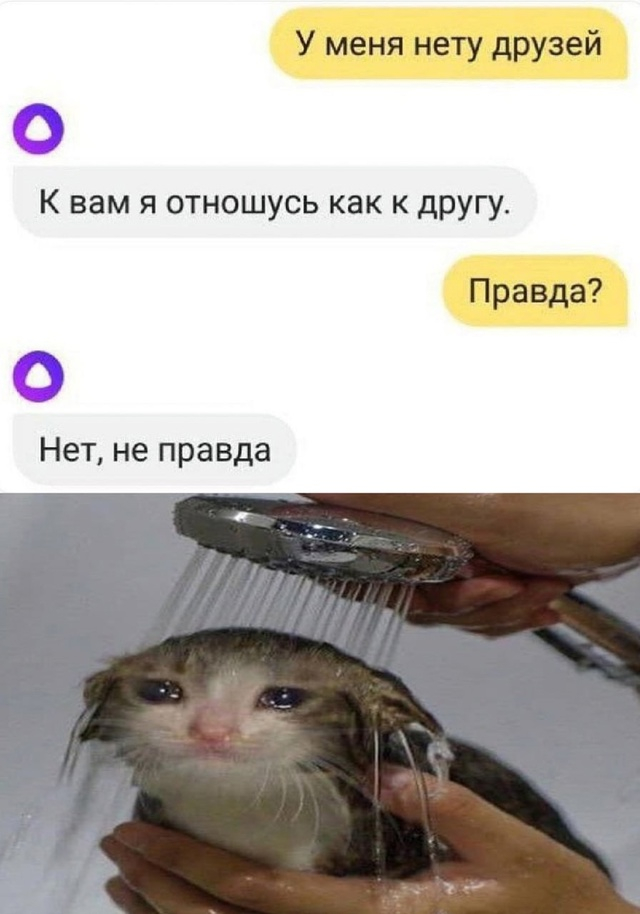 Киберунижение
