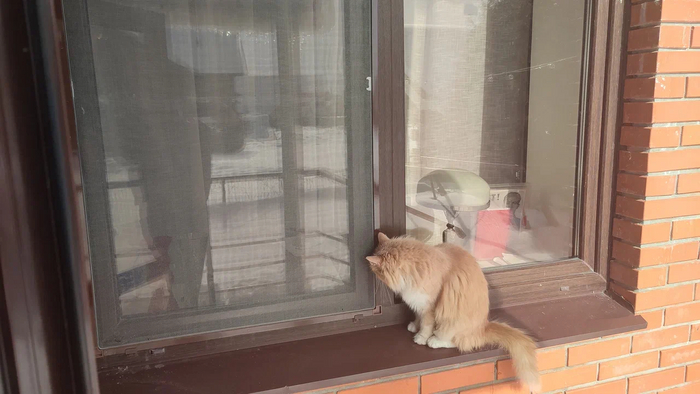 ��������� ����� ��� �� �� �������, ��� �� �������.