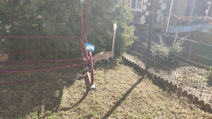 ���� �� ����� � ������