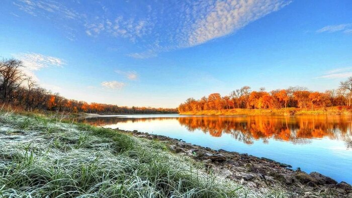 Индекс Мосбиржи+5%! Новые дивиденды, отчеты компаний, размещения облигаций: обзор главных событий недели