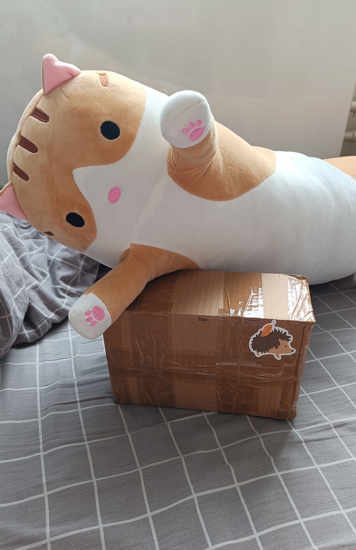 АДМ Хеллоуин 6.0 Ведьмин талисман. Из северной столицы в центральную