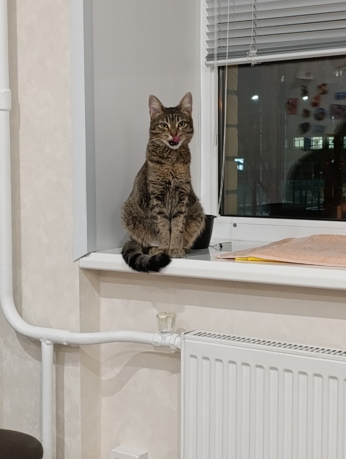 �������� �����