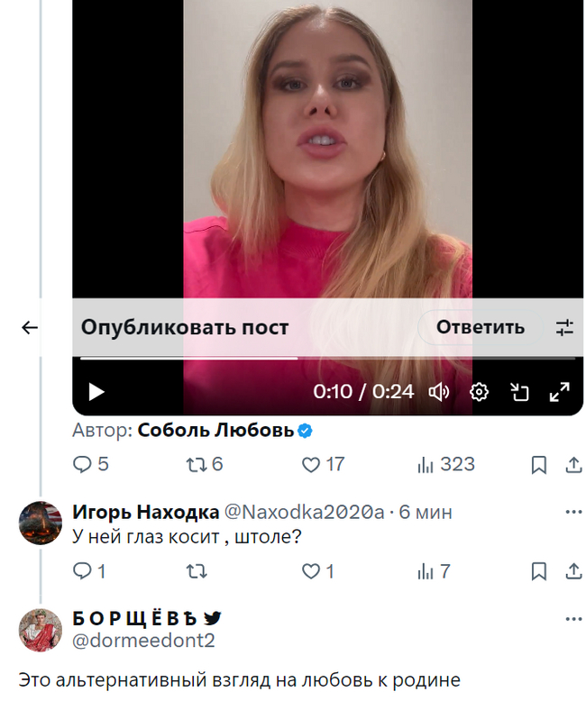 Альтернативный взгляд - Скриншот, Twitter, Любовь Соболь, Политика